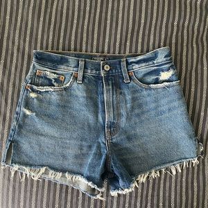 Annie High Rise Shorts